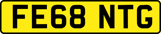 FE68NTG