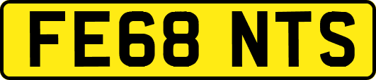 FE68NTS