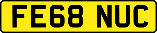 FE68NUC