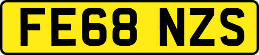 FE68NZS