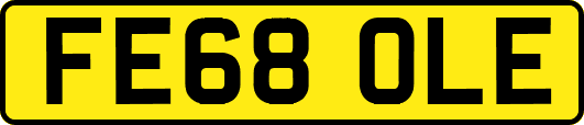 FE68OLE