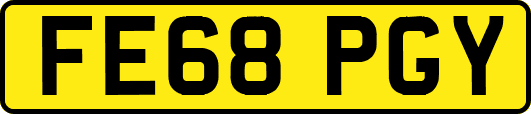 FE68PGY