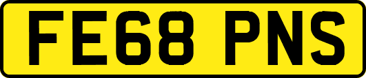 FE68PNS