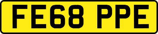 FE68PPE