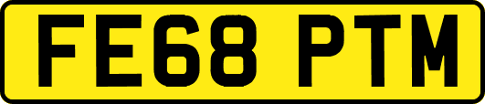 FE68PTM