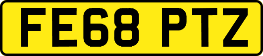 FE68PTZ