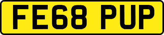 FE68PUP