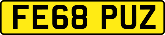 FE68PUZ