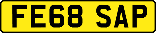 FE68SAP
