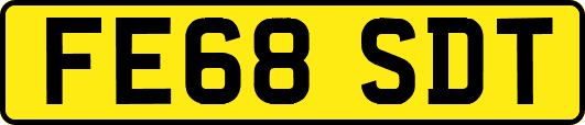 FE68SDT