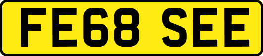 FE68SEE