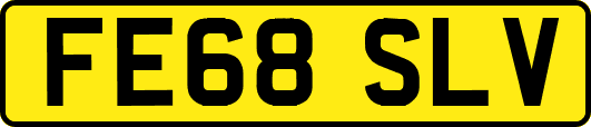 FE68SLV