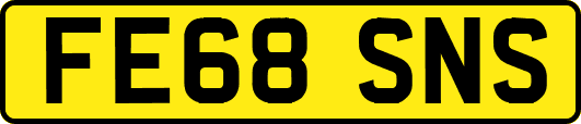 FE68SNS