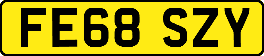 FE68SZY