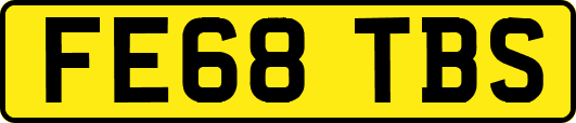 FE68TBS