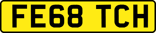 FE68TCH