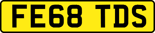 FE68TDS