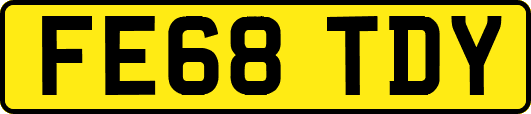 FE68TDY
