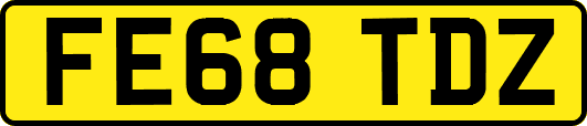 FE68TDZ