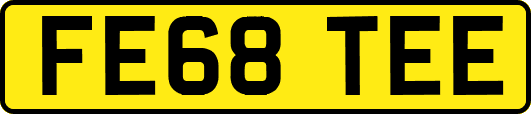 FE68TEE