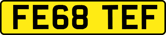 FE68TEF