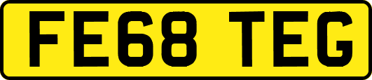 FE68TEG