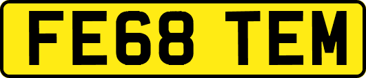 FE68TEM