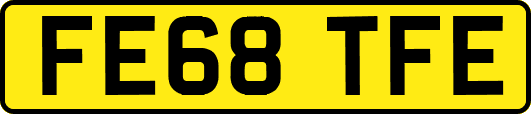 FE68TFE