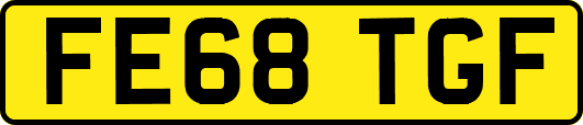 FE68TGF
