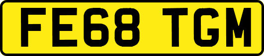 FE68TGM
