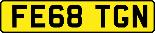 FE68TGN