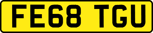FE68TGU