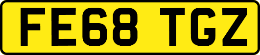 FE68TGZ