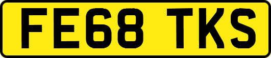 FE68TKS