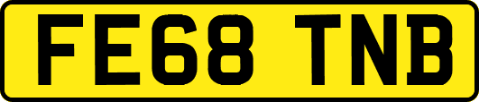 FE68TNB