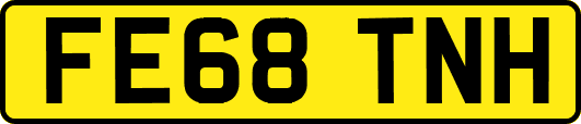 FE68TNH