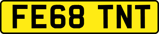 FE68TNT