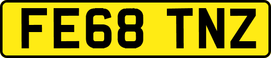 FE68TNZ