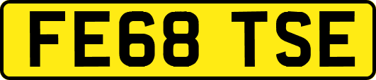 FE68TSE