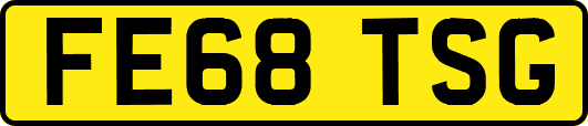 FE68TSG