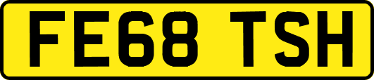 FE68TSH