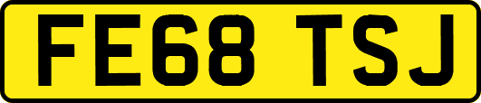 FE68TSJ