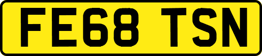 FE68TSN