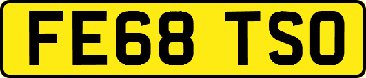 FE68TSO