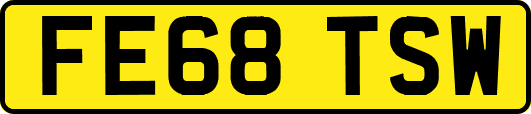 FE68TSW