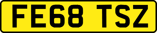 FE68TSZ