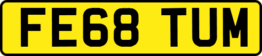 FE68TUM
