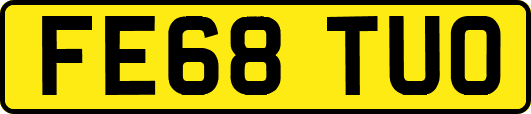 FE68TUO