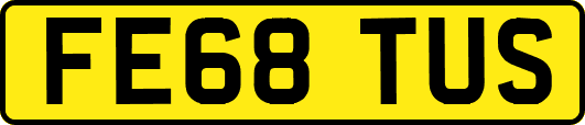 FE68TUS