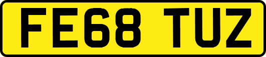 FE68TUZ